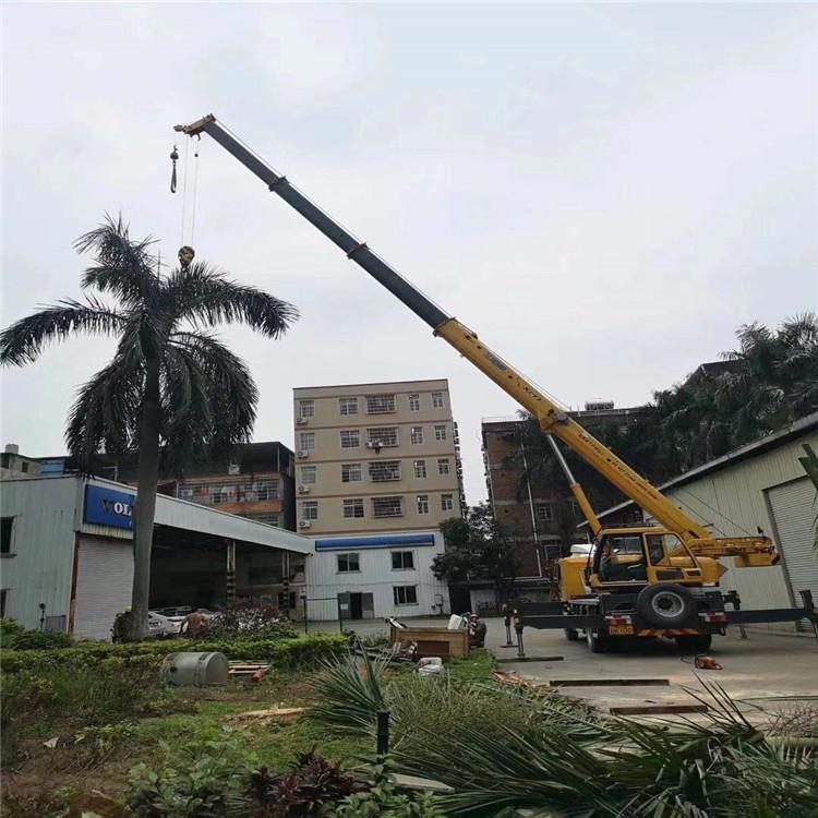 宁津汽车吊出租多少钱？全面解析与市场行情